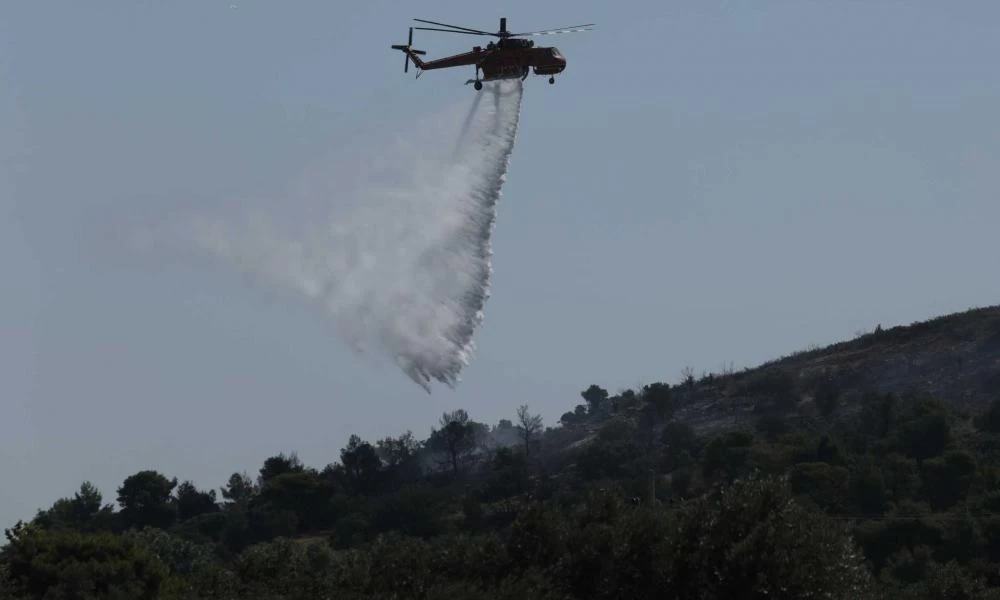 Φωτιά στη Μεσσηνία: Ισχυρές πυροσβεστικές δυνάμεις στην περιοχή